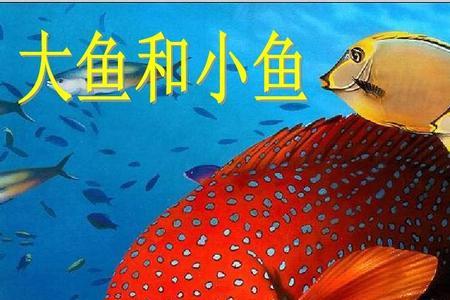 大鱼生小鱼后怎么办