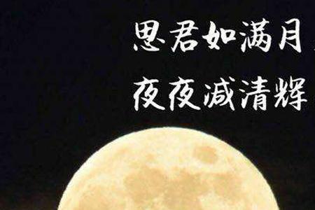 君如故人相识归来兮什么意思