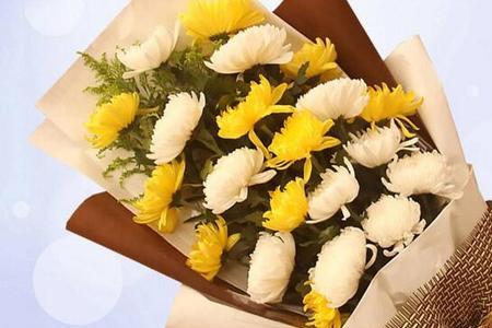 为什么扫墓要用菊花