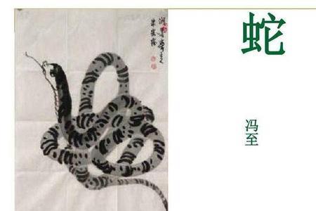 冯至为什么会写表里的生物