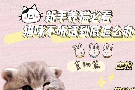 断粮能让猫咪听话吗