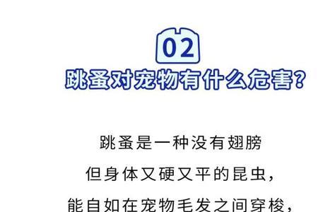 天气冷了跳蚤就少了吗