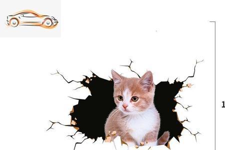 猫脚上贴纸为什么走不了
