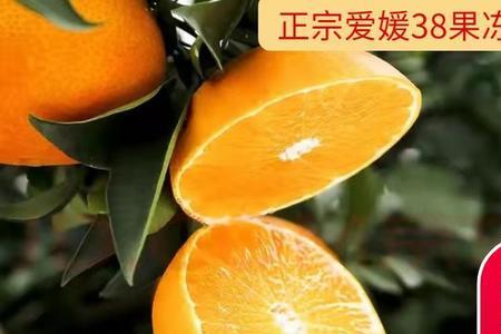 五月份有新鲜的果冻橙吗