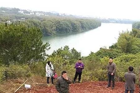墓地属于什么事业