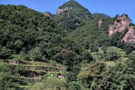 五彩河景区好玩吗