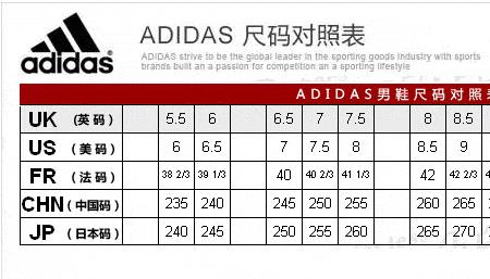 短袖43码是多大