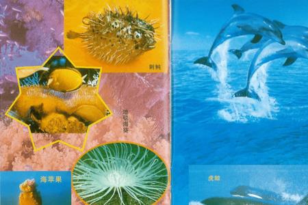 海洋生物是科普文吗