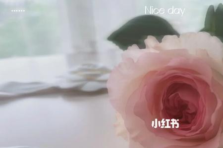花遇女方视频付款吗