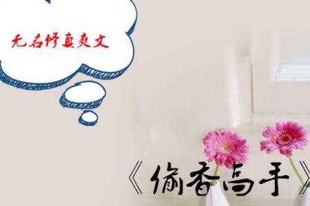 偷香高手武功境界划分