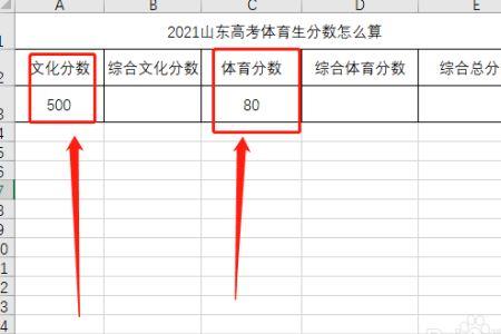 山东省体育单招分数是怎么算的
