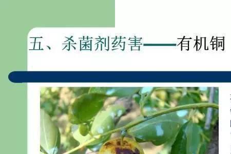 代森锰锌与有机硅能混合使用吗
