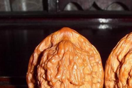 文玩核桃新果可以镶底吗