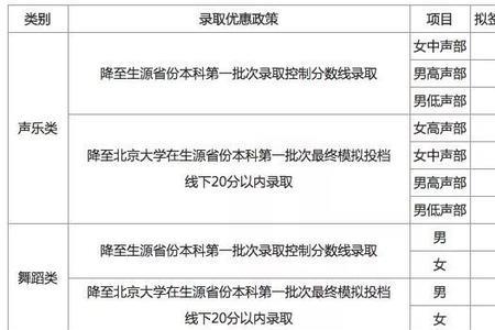 高考特长怎么写模板