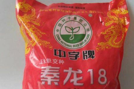 云瑞18玉米种子