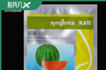 先正达种子哪个品种好