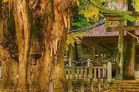 金瓯缺月未圆山河碎心不安意思