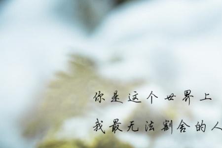 蝶骨摘下来给你爱的人是谁说的