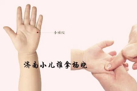 重八小儿无需下跪什么意思