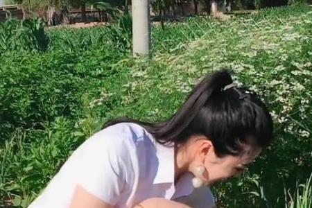 夸美女勤劳的词