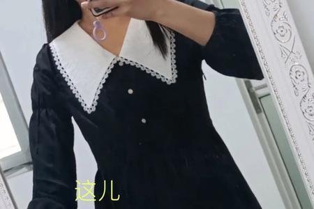独束跟范思蓝恩是一个公司吗