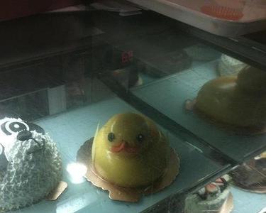 小黄鸭毛很乱是什么原因