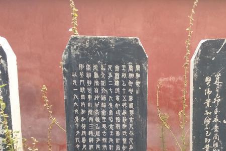 蔺相如故乡是哪里