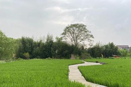 一个人种一千亩地什么梗