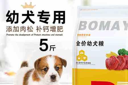 两个月小狗狗粮用什么水泡