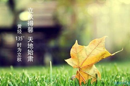 立秋表达爱意的古诗词