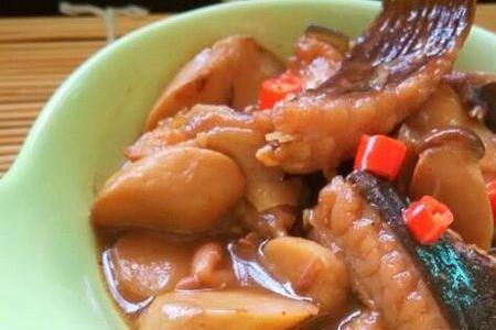 鲶鱼炖香菇可以吗