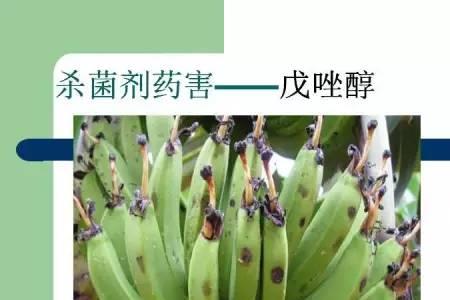 氟硅唑和丙环唑哪个控旺好