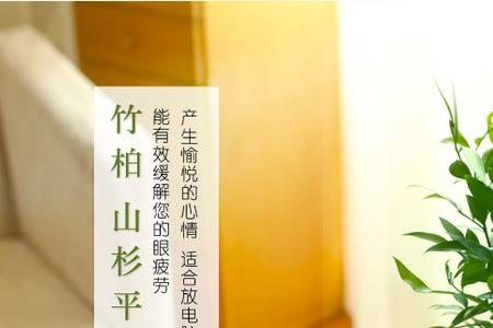 竹柏和长寿竹一样吗