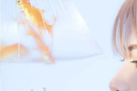 好伙伴的同义词