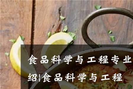 食品科学与工程转什么专业好