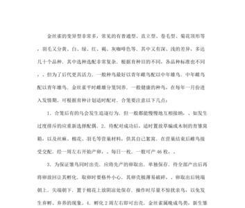 金丝雀炸毛喂啥药
