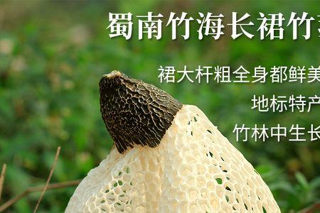 鲜竹荪储存需要剥皮吗
