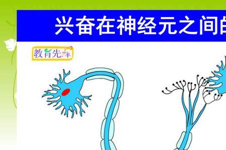 传导和传递的特点