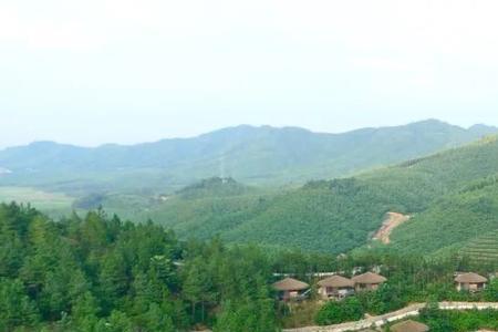 莫干山七月温度