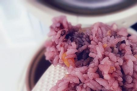 冷冻杂粮饭怎么热