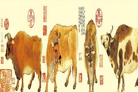五牛图的特点是什么