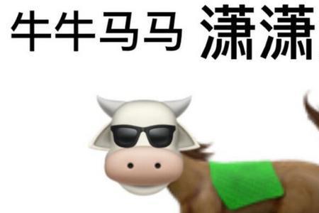 牛马精神还是龙马精神