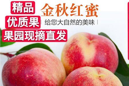 桃子很红就是不熟