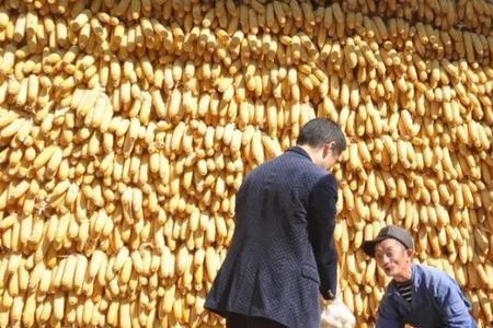 意外丰收的意思