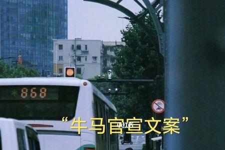 双十一官宣文案
