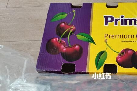 斯基纳和拉宾斯哪个好