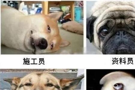 工地顺口溜搞笑