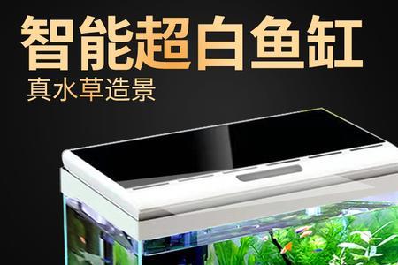 超白缸和水族箱哪个好