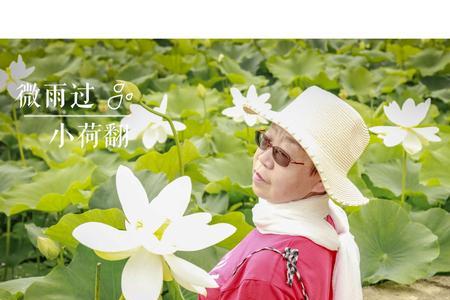 荷塘诗意是什么