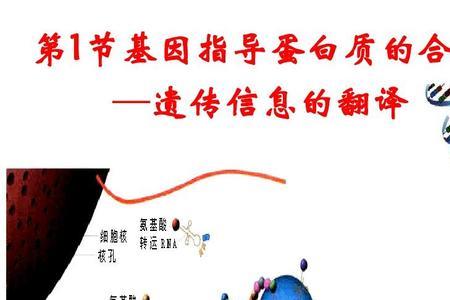 基因表达的遗传学基础